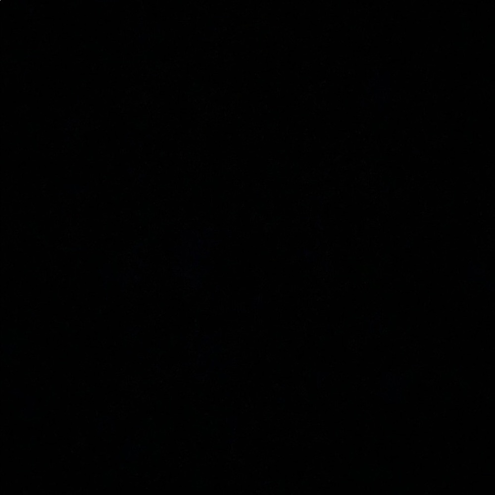 Meet your Posher, Elise